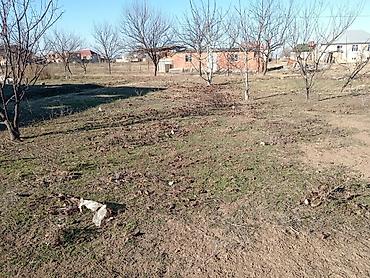 Həyət evləri və villalar: 1 otaqlı, 20 kv. m, Kredit yoxdur, Orta təmir — 3