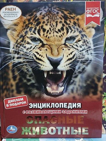 до 18 лет: Каждая по 250 сом
продаю книги — 8