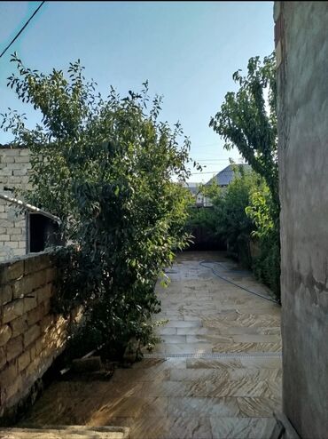 Torpaq sahələrinin satışı: Tikinti -da lalafo.az — 6 Torpaq sahələrinin satışı: Tikinti — 6