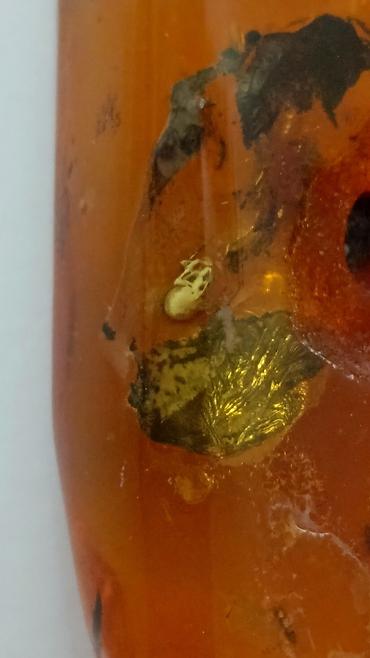 Qiymətli daşlar: Kəhrəba, Pulsuz çatdırılma — 15