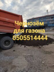 микрозелень цена бишкек: Тонна менен, Акысыз жеткирүү, Зил, Камаз