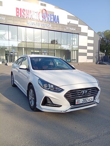 шумоизоляция для машины: Hyundai Sonata: 2018 г., 2 л, Автомат, Газ, Седан