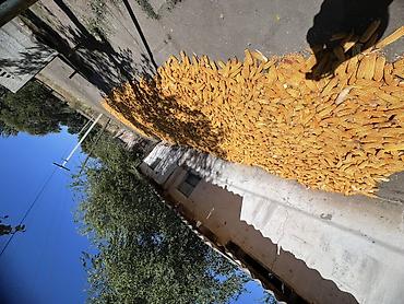 упаковочные картонные коробки: Кукуруза Оптом — 3