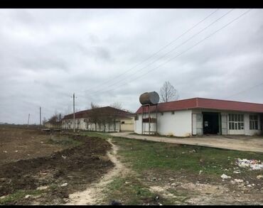Daşınmaz əmlak: Biləsuvarda ay iwigi wadlix evi