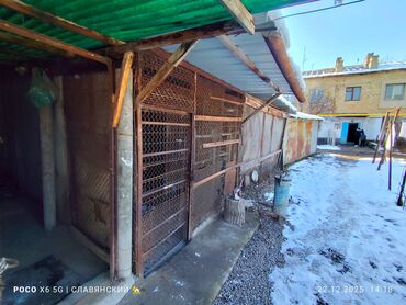 Продажа квартир: 2 комнаты, 39 м², Индивидуалка, 1 этаж, Косметический ремонт — 20