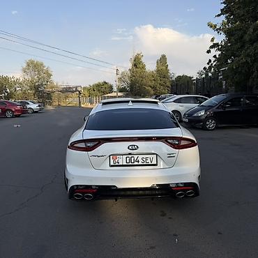 дверь марк 2: Kia Stinger: 2021 г., 3.3 л, Бензин, Лифтбек — 4