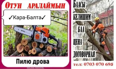 чокморова молодая гвардия: Мото араа