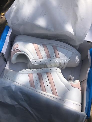 amina: Кроссовки, 37, Adidas, Новый, цвет - Белый, Самовывоз, Платная доставка — 1