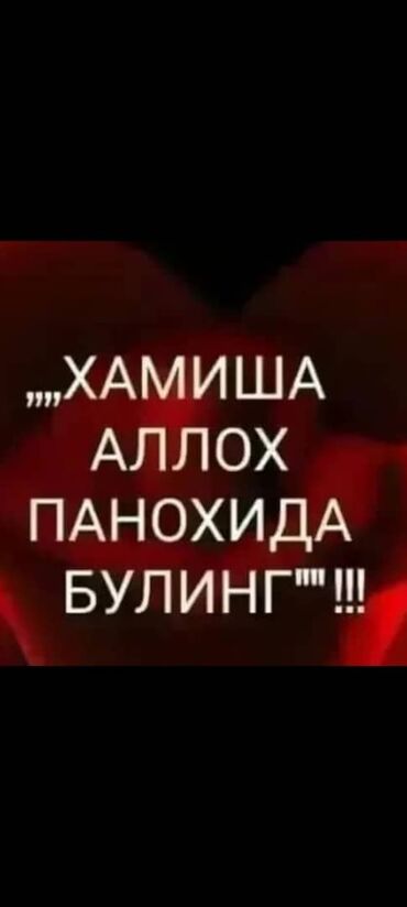 сады: Текстовый баннер/плакат с фразой на кириллице: «Хамиша Аллох панохида