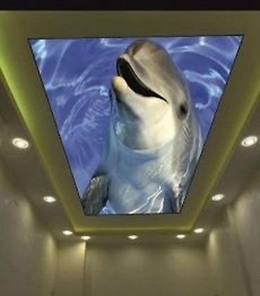 Натяжной потолок: Натяжной потолок Матовое, 3D потолки, Глянцевое Бесплатный замер, Гарантия, Демонтаж — 5