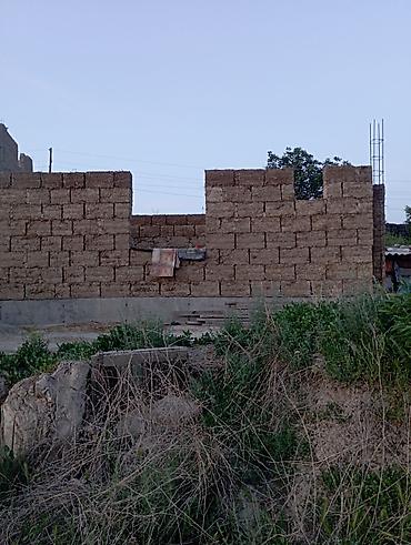 Другие услуги: Соком Уй согом — 6