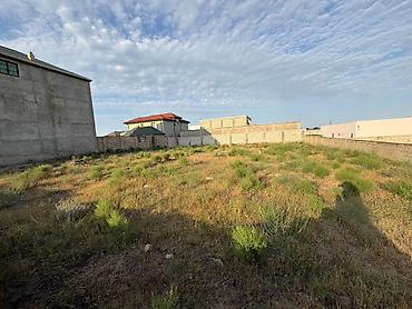 Torpaq: 5 sot, Mülkiyyətçi, Kupça (Çıxarış) — 10