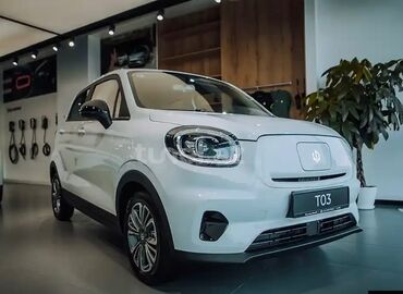 Nəqliyyat vasitəsinin icarəsi: Günlük, Toyota
