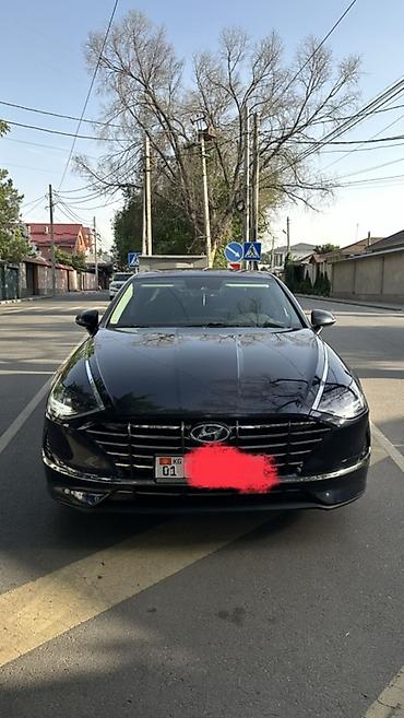 sonata: Hyundai Sonata: 2019 г., 2 л, Бензин — 2