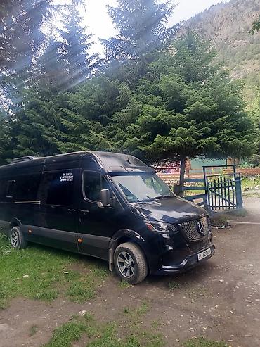 w210 3 2: Пункт назначения: Все направления, Количество мест: 20, Лицензия №: 45239528 — 3