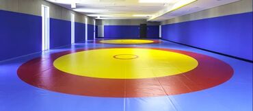 Другое для спорта и отдыха: Татами ковры мат борцовские ковры борцовские маты изготовление спорт — 2