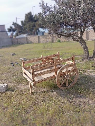 Dekor məhsulları: Dekor məhsulları — 7