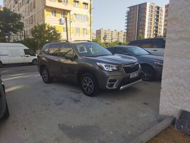 субару форестер 2018: Subaru Forester: 2020 г., Кроссовер