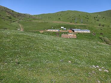şirvanda torpaq: 105 sot, Kənd təsərrüfatı, Mülkiyyətçi, Kupça (Çıxarış) — 10