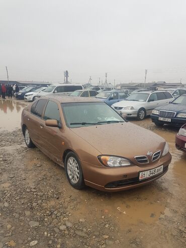 Nissan: Nissan Primera: 2000 г., 1.8 л, Механика, Бензин, Хэтчбэк