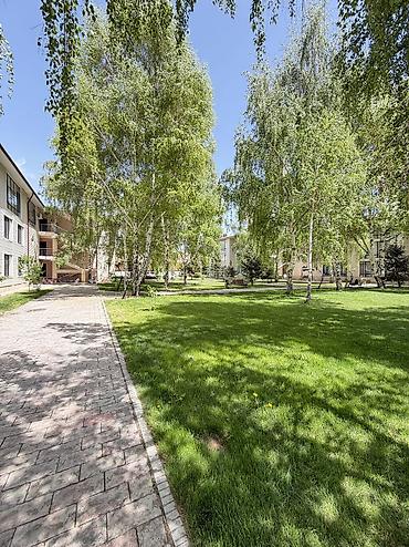 Продажа квартир: 3 комнаты, 50 м², Элитка, 3 этаж, Евроремонт — 13