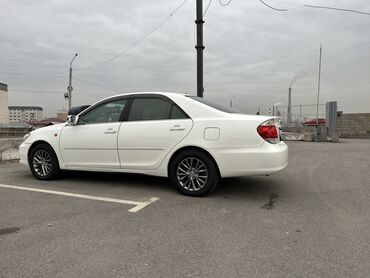 тайота пилус: Toyota Camry: 2005 г., 2.4 л, Автомат, Бензин, Седан