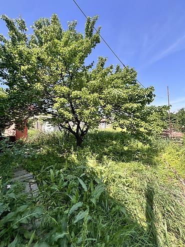 4: 🏡 Продаётся дом в районе Арча-Бешик (Газпром) 📍 Отличная локация 📐 — 5