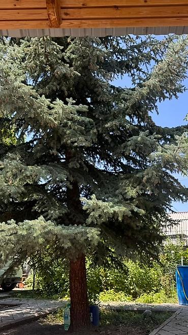 Продажа участков: 8 соток, Красная книга, Тех паспорт — 1