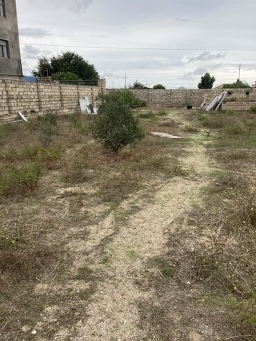 Həyət evləri və villaların satışı: Turkanda 20 sot torpag, 1 mertebeli ev, 3 otagli, qizil qum — 5