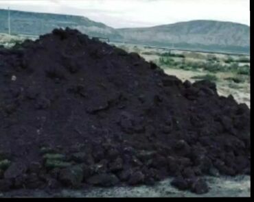 Bitki torpaqları: Qara Torpaq Peyin sifarisi.Şamaxi Ismayilli rayonlarindan istəyə uygun — 5