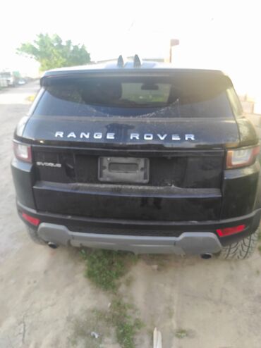 сюрф ветровик: Land Rover Range Rover Evoque: 2019 г., Кроссовер