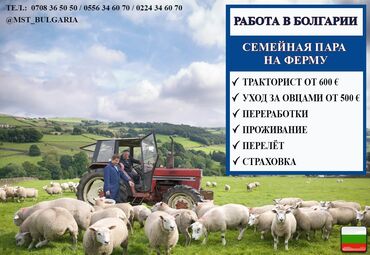 работа тракторист: 000702 | Болгария. Сельское хозяйство