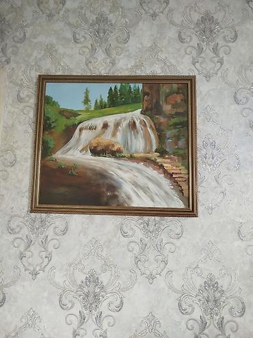 Tovuz quşları: Məhsul: Tovuzquşu (erkək) Təsvir: - Parlaq mavi boyun və döş, geniş — 1