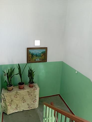 Покраска: Покраска стен, Покраска потолков, Покраска окон, На масляной основе, На водной основе, Больше 6 лет опыта — 7