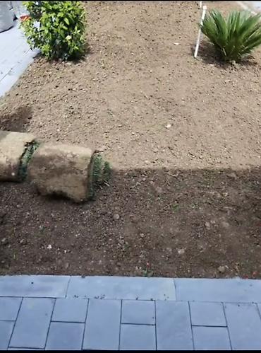 landşaft: Qazon və landşaft abadlaşdırılması xidməti - Həyətyanı sahələr, bağ — 10
