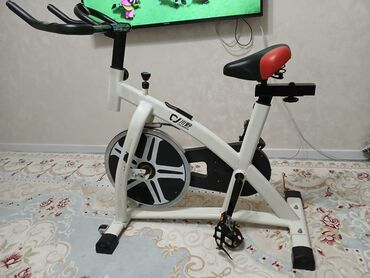 германский велосипед: Спин-байк (велотренажёр) для домашнего фитнеса - Тип: механический