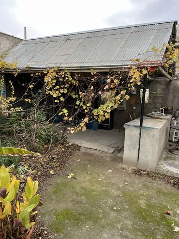 Bağ evlərinin satışı: Bakı, 80 kv. m, 2 otaqlı, Hovuzsuz, Kombi, Su, Qaz -da lalafo.az — 22 Bağ evlərinin satışı: Bakı, 80 kv. m, 2 otaqlı, Hovuzsuz, Kombi, Su, Qaz — 22