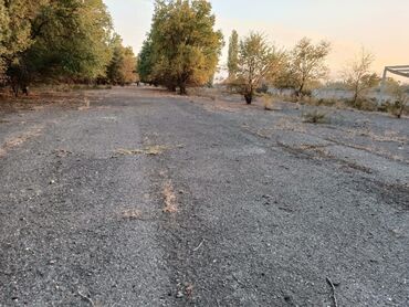 Продажа участков: 12 соток, Для строительства, Красная книга — 23