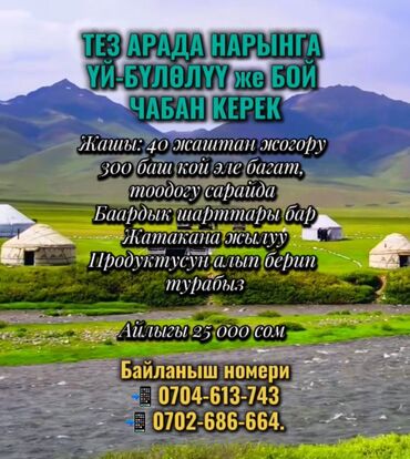 ищу работу на охрану: Требуется Пастух, Оплата Сдельная, Обучение