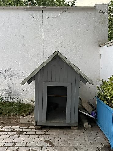 tap. az itler: İt yuvasi ölçüsü boyukdu iki qatli taxtayla tikilib taxtaların arasi — 6