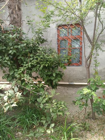 Həyət darvazaları: RT Arxasında körpüdən sağda 2 ci küçədə 2 mərtəbəli 8 otaqlı həyət evi -da lalafo.az — 29 Həyət darvazaları: RT Arxasında körpüdən sağda 2 ci küçədə 2 mərtəbəli 8 otaqlı həyət evi — 29