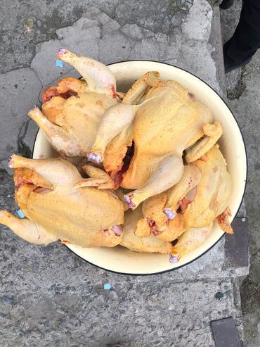 конь на забой: Бройлерные цыплята Бишкек Сокулук Вес 2,5-3 кг Выращены на зерновых