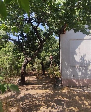 Продажа домов: Дом, 200 м², 4 комнаты, Собственник, Косметический ремонт — 23