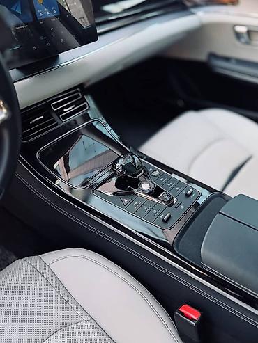 BYD: BYD E9: 2021 г., Автомат, Электромобиль, Седан — 13