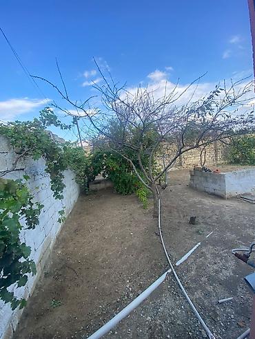 Torpaq sahələrinin satışı: 20 sot, Tikinti, Mülkiyyətçi, Kupça (Çıxarış) — 8