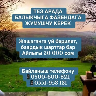 робота с проживания: Требуется сотрудник, График: Шестидневка, Оплата Сдельная