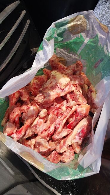 Yemlər: It yemi. Toyuqun Qabirga ve Bud sumuyu, Toyuq farji. Toyuq qanad -da lalafo.az — 5 Yemlər: It yemi. Toyuqun Qabirga ve Bud sumuyu, Toyuq farji. Toyuq qanad — 5