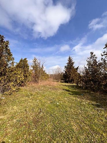 Torpaq sahələrinin satışı: Kənd təsərrüfatı -da lalafo.az — 9 Torpaq sahələrinin satışı: Kənd təsərrüfatı — 9