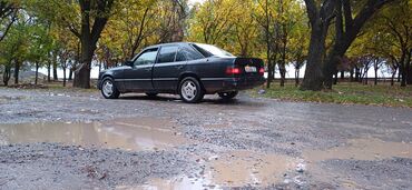 Mercedes-Benz: Mercedes-Benz W124: 1990 г., 2.3 л, Механика, Бензин, Седан