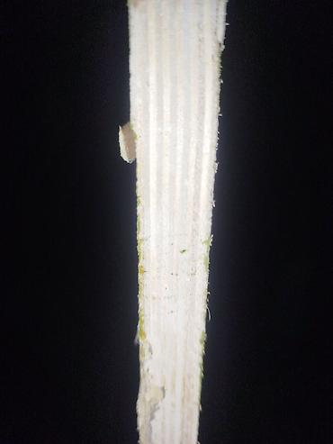 taxta dikt: Diktlər, 18 mm, Ödənişli çatdırılma — 3